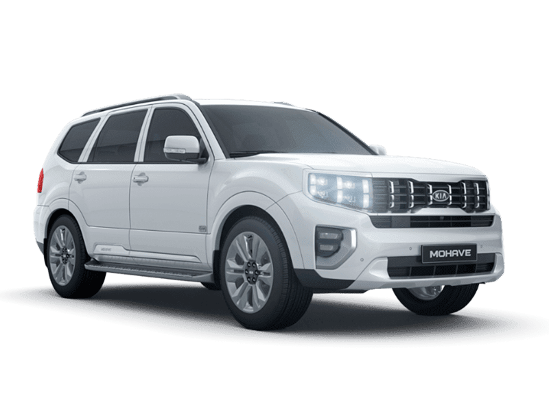 Snow White Pearl (SWP)